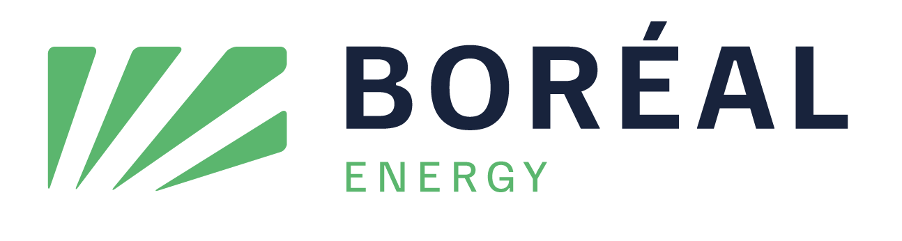 Boreal logo couleur 1 cr